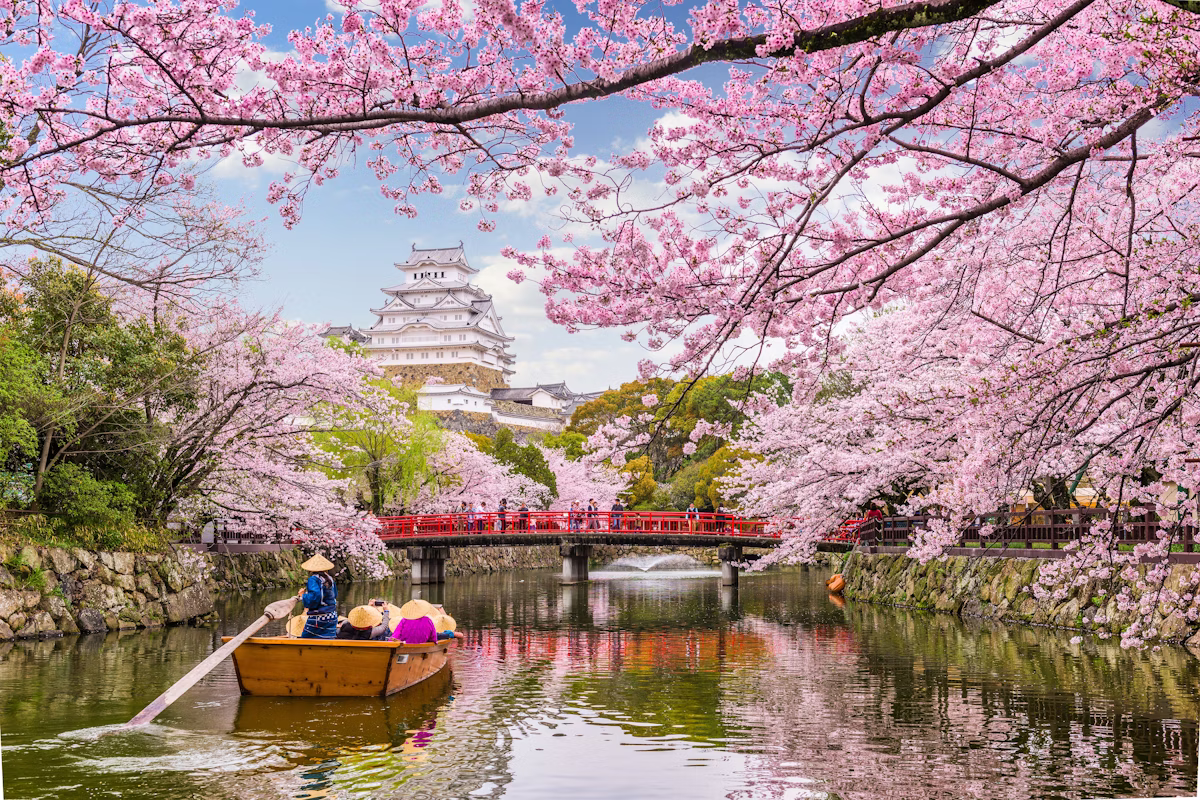 Sakura Garden Pavilion