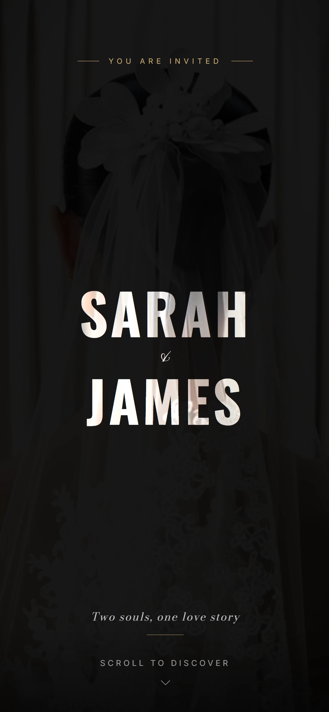 Wedding Veil template